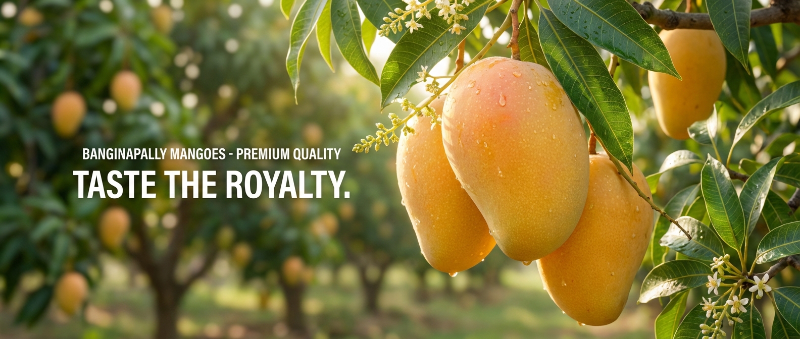 Indian Mangoes
